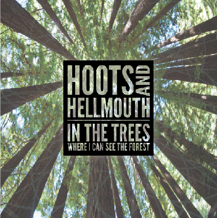 Hoots_in-the-trees-cover_442
